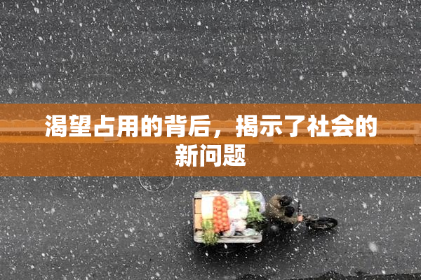 渴望占用的背后，揭示了社会的新问题