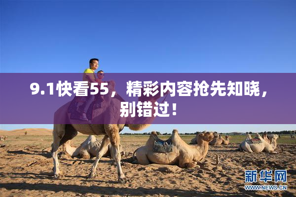 9.1快看55，精彩内容抢先知晓，别错过！