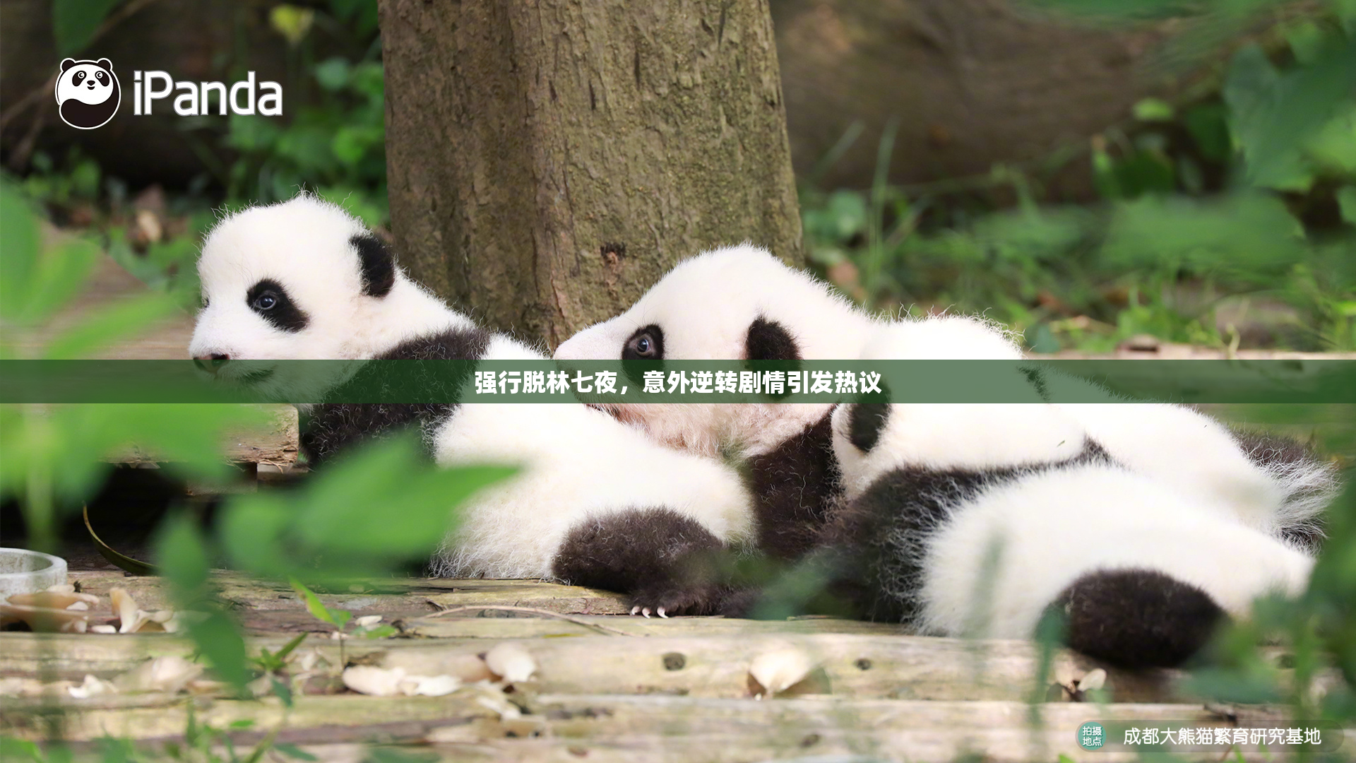强行脱林七夜，意外逆转剧情引发热议