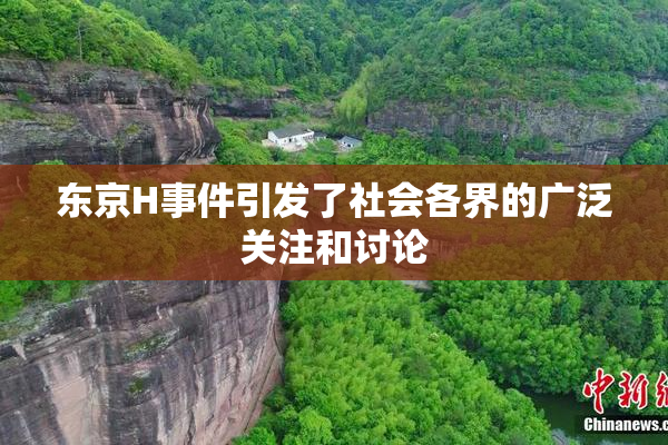 东京H事件引发了社会各界的广泛关注和讨论