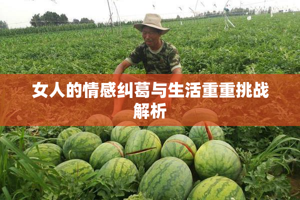 女人的情感纠葛与生活重重挑战解析