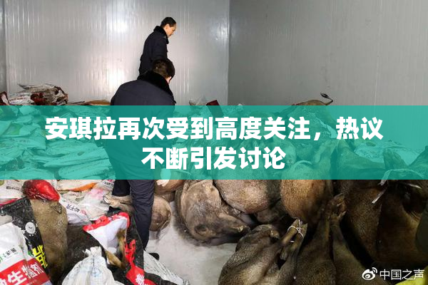 安琪拉再次受到高度关注，热议不断引发讨论