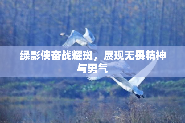 绿影侠奋战耀斑，展现无畏精神与勇气