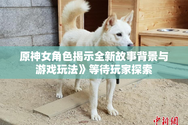 原神女角色揭示全新故事背景与游戏玩法》等待玩家探索
