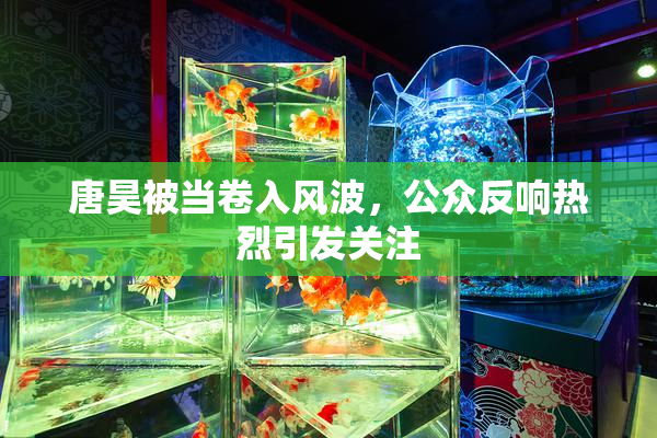 唐昊被当卷入风波，公众反响热烈引发关注
