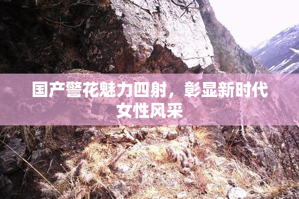 国产警花魅力四射，彰显新时代女性风采