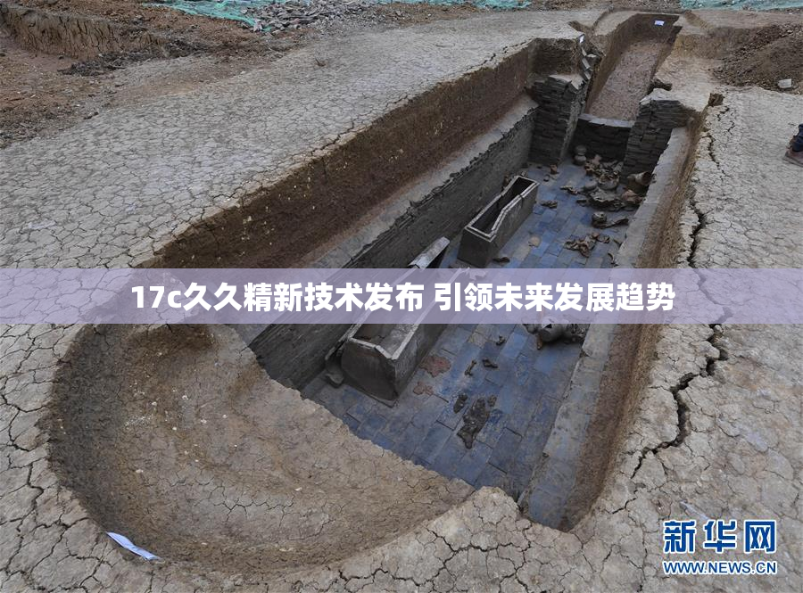 17c久久精新技术发布 引领未来发展趋势