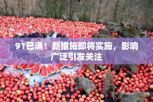 91已满！新措施即将实施，影响广泛引发关注