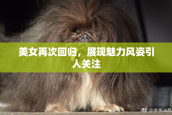 美女再次回归，展现魅力风姿引人关注