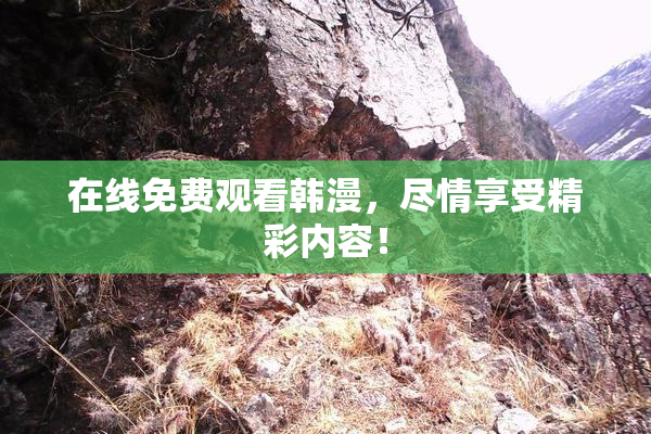 在线免费观看韩漫，尽情享受精彩内容！