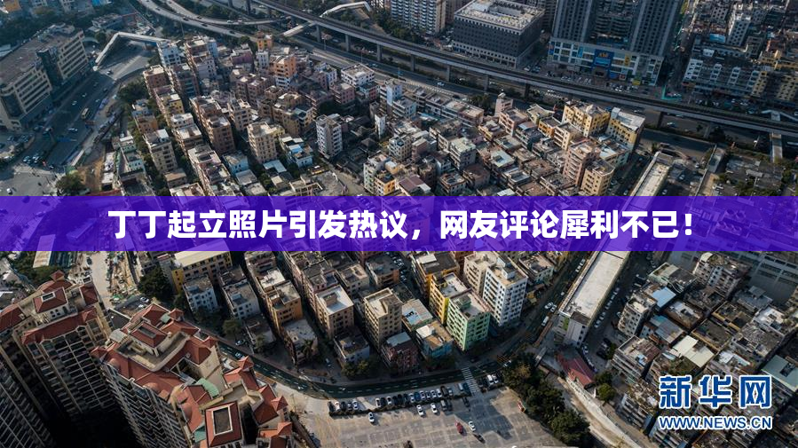 丁丁起立照片引发热议，网友评论犀利不已！