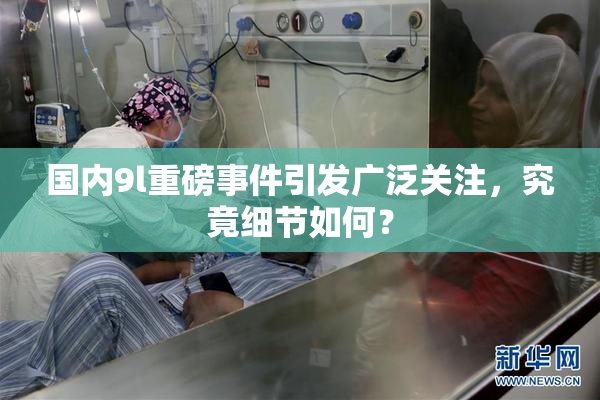 国内9l重磅事件引发广泛关注，究竟细节如何？