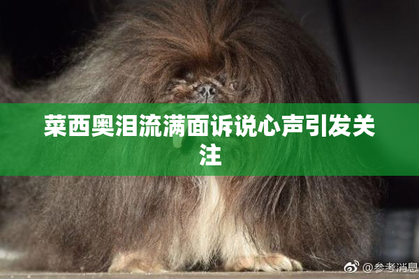 菜西奥泪流满面诉说心声引发关注