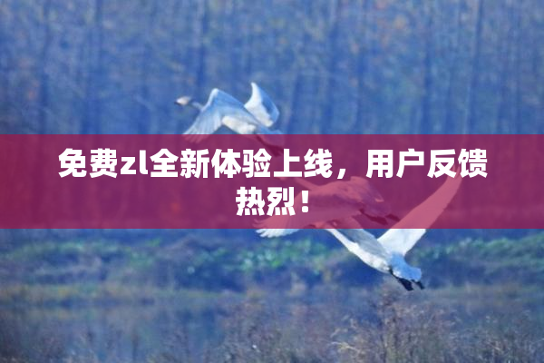 免费zl全新体验上线，用户反馈热烈！