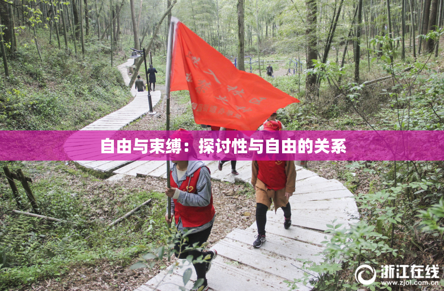 自由与束缚：探讨性与自由的关系