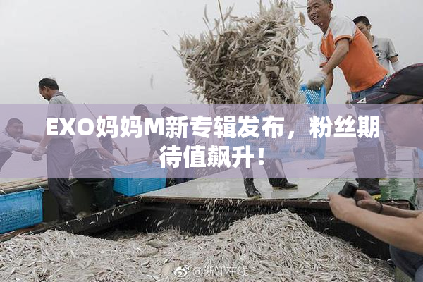 EXO妈妈M新专辑发布，粉丝期待值飙升！