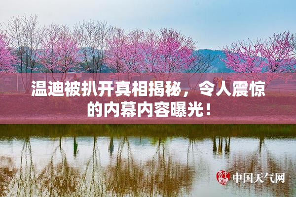 温迪被扒开真相揭秘，令人震惊的内幕内容曝光！
