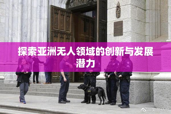 探索亚洲无人领域的创新与发展潜力