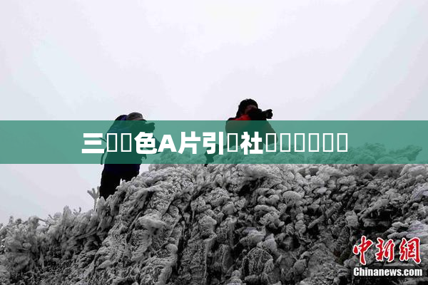 三級黃色A片引發社會熱議與討論