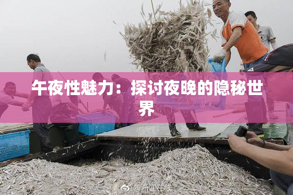 午夜性魅力：探讨夜晚的隐秘世界