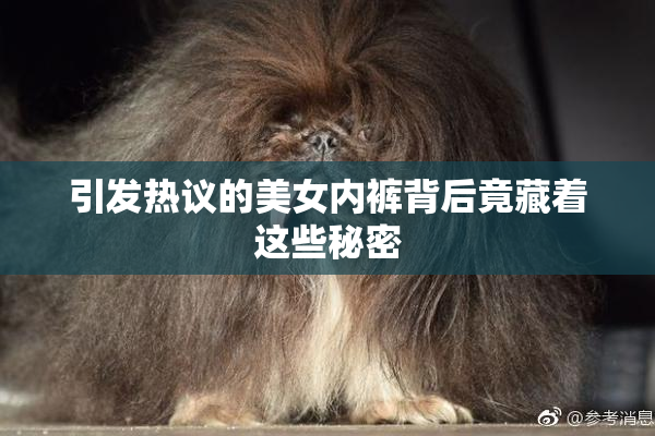 引发热议的美女内裤背后竟藏着这些秘密