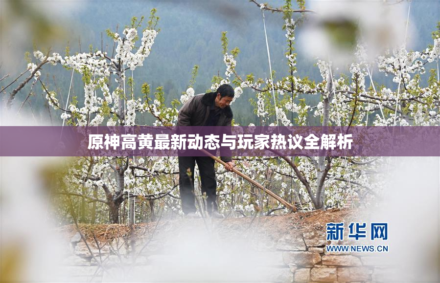 原神高黄最新动态与玩家热议全解析