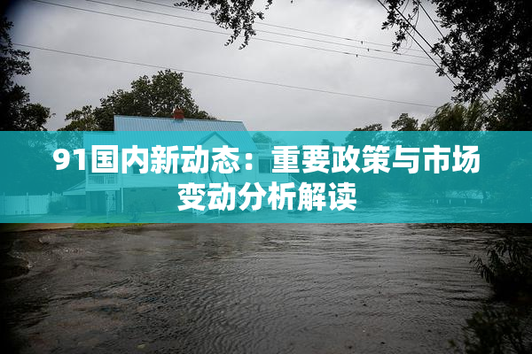 91国内新动态：重要政策与市场变动分析解读