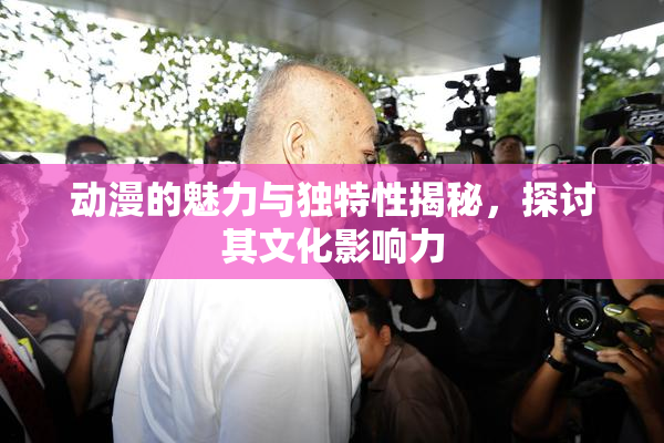 动漫的魅力与独特性揭秘，探讨其文化影响力