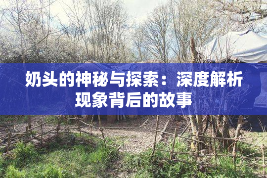 奶头的神秘与探索：深度解析现象背后的故事