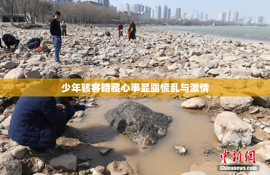 少年骇客暗藏心事显露慌乱与激情