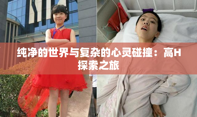纯净的世界与复杂的心灵碰撞：高H探索之旅
