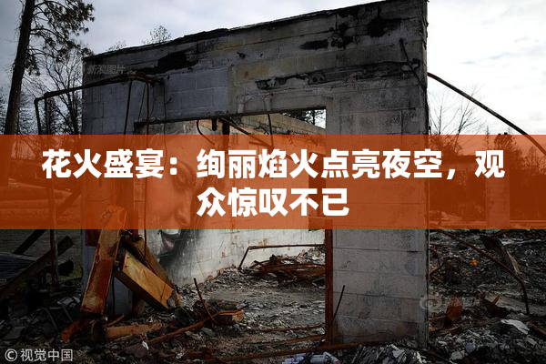 花火盛宴：绚丽焰火点亮夜空，观众惊叹不已