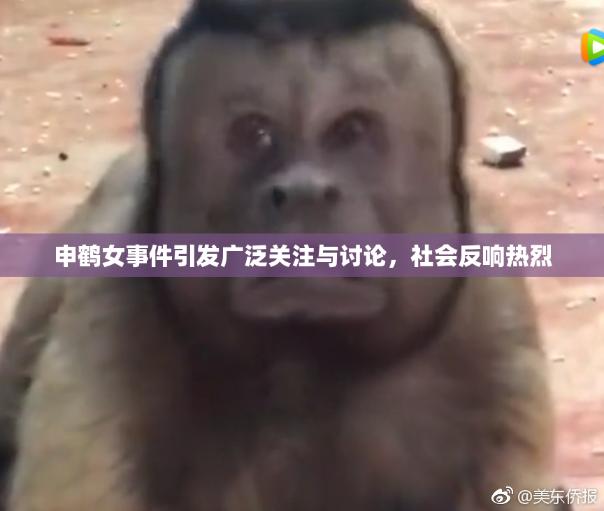申鹤女事件引发广泛关注与讨论，社会反响热烈