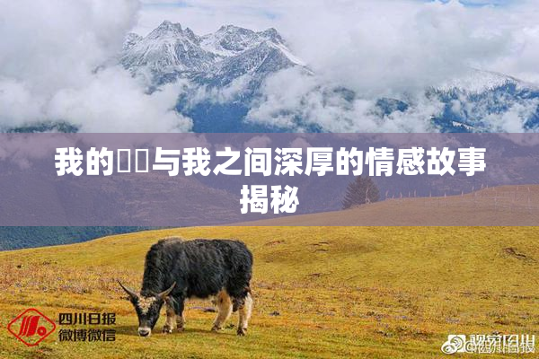 我的妺妺与我之间深厚的情感故事揭秘