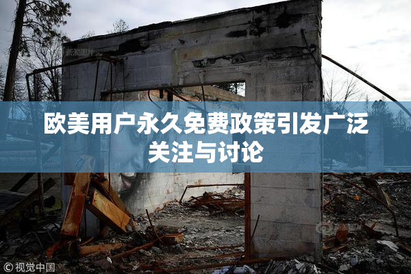 欧美用户永久免费政策引发广泛关注与讨论