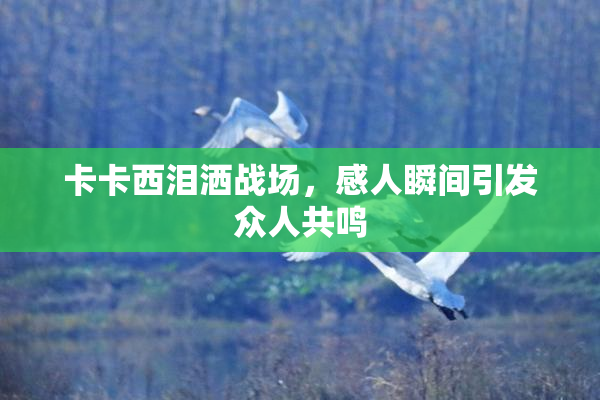 卡卡西泪洒战场，感人瞬间引发众人共鸣