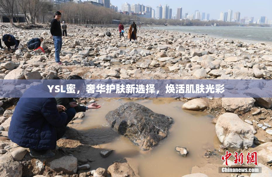 YSL蜜，奢华护肤新选择，焕活肌肤光彩