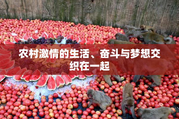 农村激情的生活、奋斗与梦想交织在一起