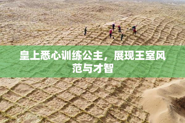 皇上悉心训练公主，展现王室风范与才智
