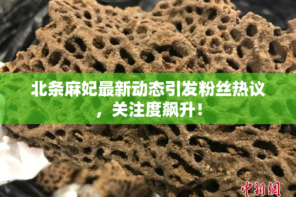 北条麻妃最新动态引发粉丝热议，关注度飙升！