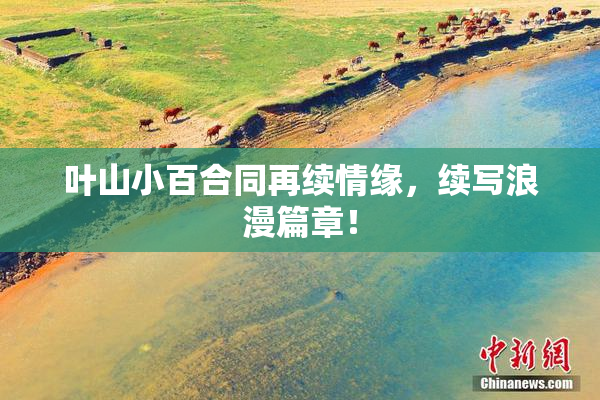叶山小百合同再续情缘，续写浪漫篇章！