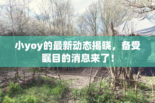 小yoy的最新动态揭晓，备受瞩目的消息来了！