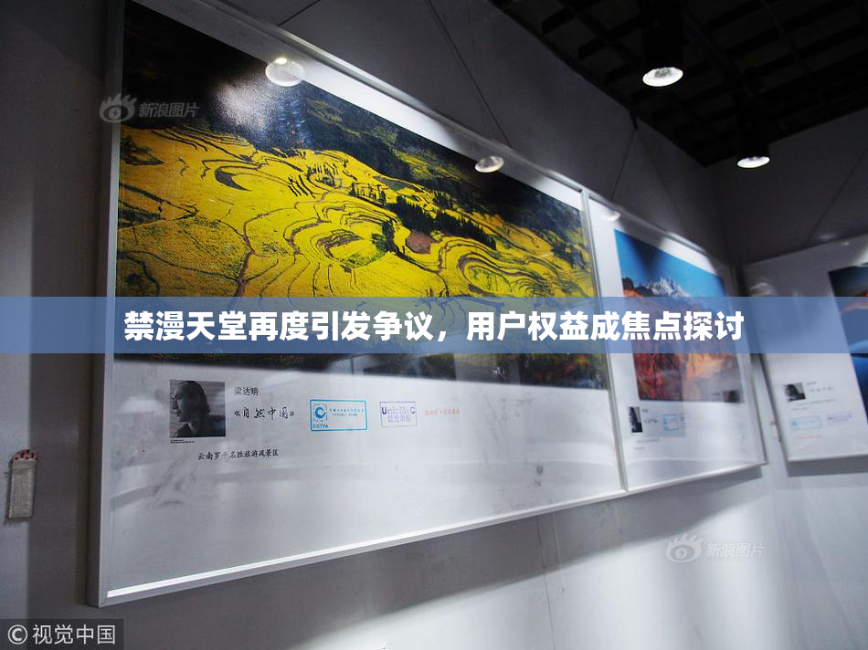 禁漫天堂再度引发争议，用户权益成焦点探讨