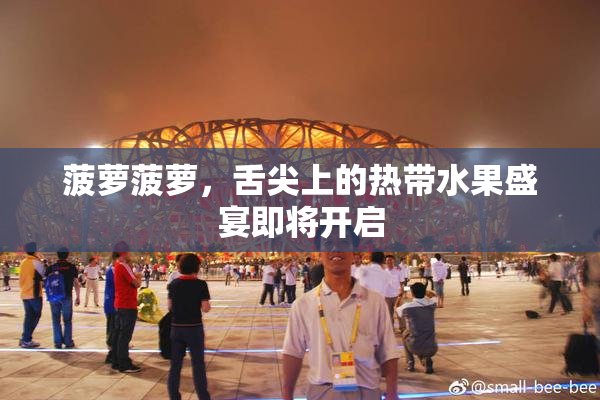 菠萝菠萝，舌尖上的热带水果盛宴即将开启