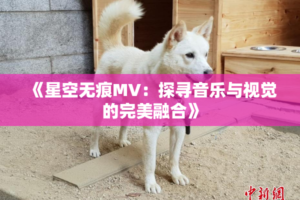 《星空无痕MV：探寻音乐与视觉的完美融合》