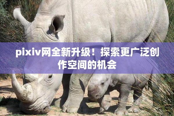 pixiv网全新升级！探索更广泛创作空间的机会