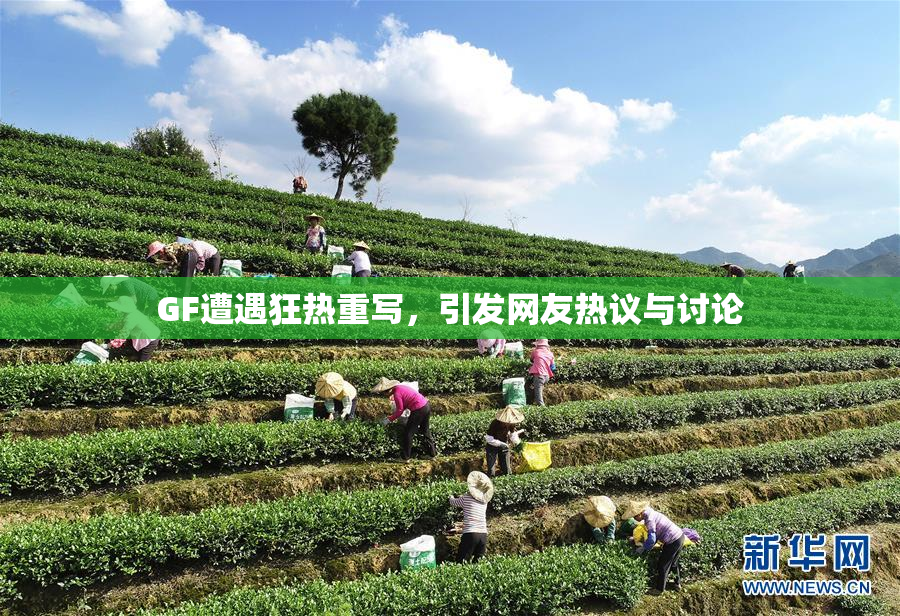 GF遭遇狂热重写，引发网友热议与讨论
