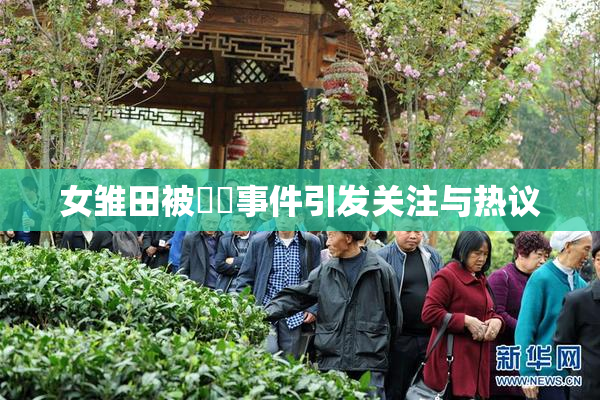 女雏田被❌‌事件引发关注与热议