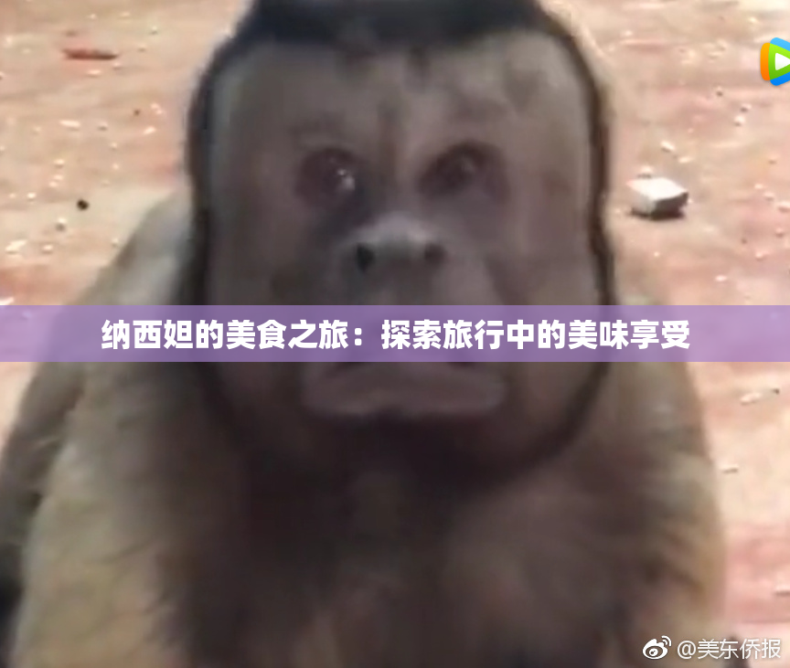 纳西妲的美食之旅：探索旅行中的美味享受
