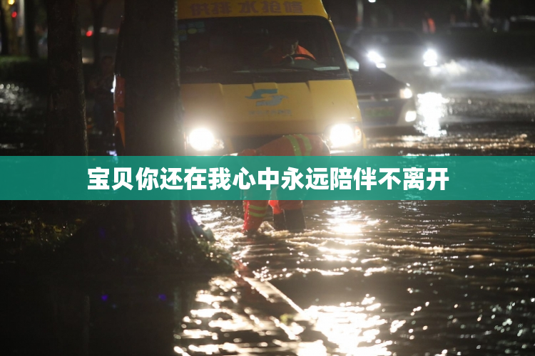 宝贝你还在我心中永远陪伴不离开